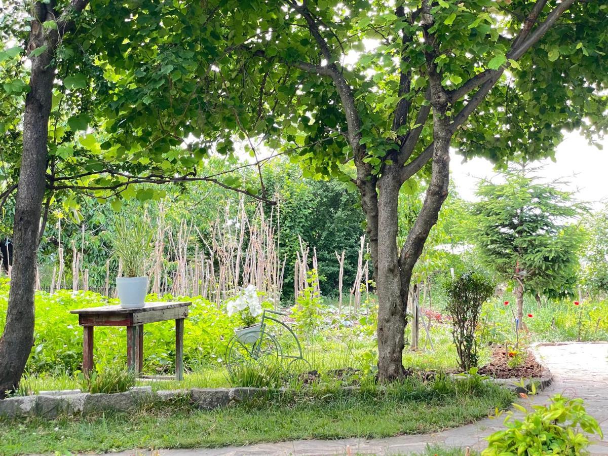 Villa Bujtina Cakuli, - Erseke
